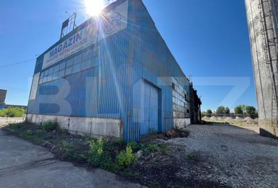 Hala industriala de inchiriat 1.000 mp + teren 5.000 - 13