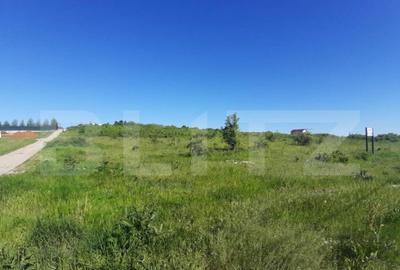 Teren intravilan 31.000 mp, zona Hanul Doctorului - 1