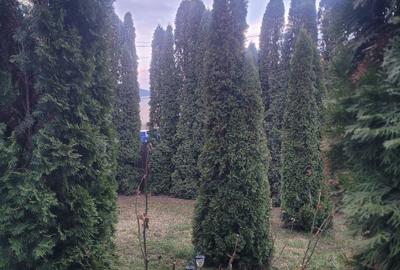 Garsonieră decomandată în Central - 10