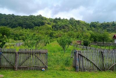Teren de 2700 mp, în Polovragi - 4