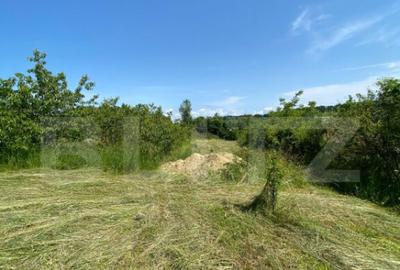 Teren intravilan de vanzare 30 ari Zona Podul Jelne - 2