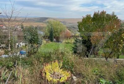 Teren de 1590 mp, în Dezmir