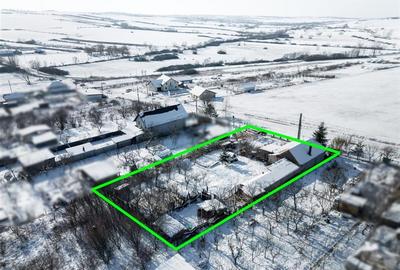Casă individuală cu 2 camere cu Teren 1600 Mp în Cetariu - 3