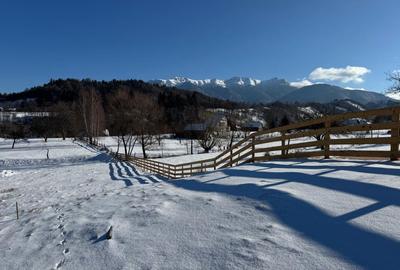 Teren Construcții intravilan de 1050 mp, în Bran - 13