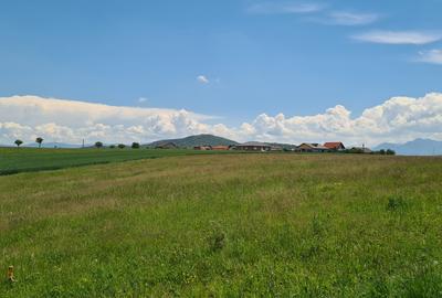 TEREN INTRAVILAN  BOD - 1200 mp pentru constructii case Sp+P+E+M - 16