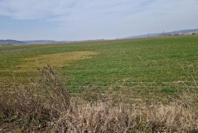 Teren în Șimnicu de Sus - 3