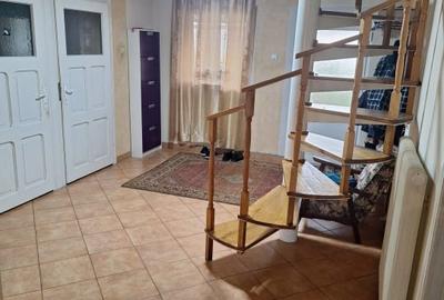 Proprietate mixta de vanzare in Nadlac - Casa moderna + hala/grajd + teren mare - 6