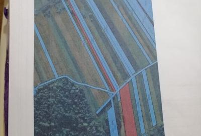 Teren agricol intra si extravilan 6200mp - 1