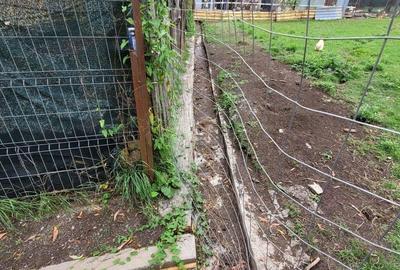 Teren intravilan in Breaza-- 2017 mp--50.000e Teren intravilan in Breaza-- 2017 mp--50.000e - 4