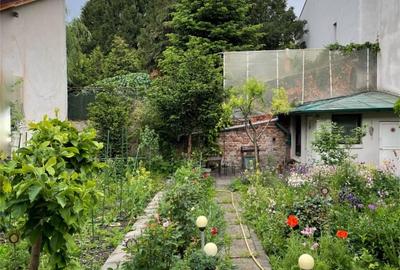 Vila cu 3 apartamente independente si gradina mare in Cotroceni - 20