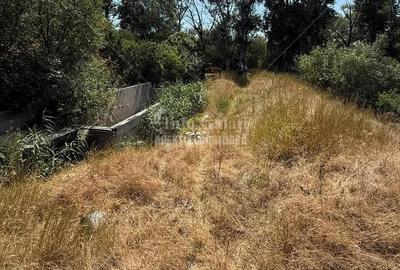 | Teren Intravilan 1600 mp si Hala 100 mp | Barbosi | Cu acces la Siret | - 3