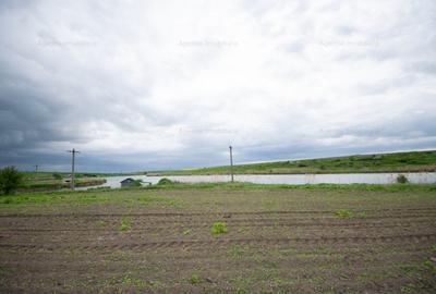 Terenul ideal 1058 mp - Lac Darvari / Fundulea - 3