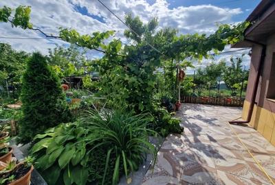 Casă de vânzare Aroneanu priveliște lac - 8