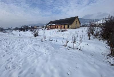 Teren Construcții intravilan de 3436 mp, în Hoghilag - 4