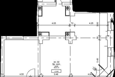 Spatiu comercial SAD 105mp | Iosefin - 5