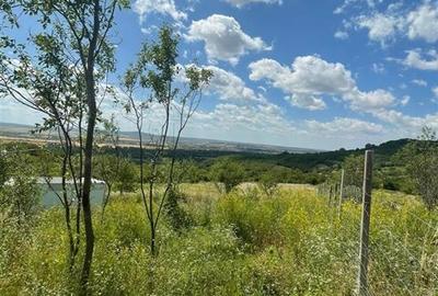 RECO Teren Extravilan Podgoria Oradea - 8