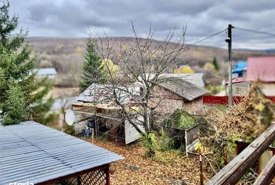 Casă cu 4 camere cu Teren 4500 Mp în Schitu Duca - 9