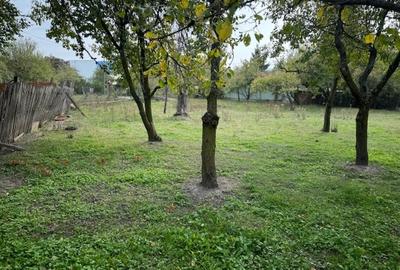 Teren Construcții intravilan de 2644 mp, în Viișoara - 11