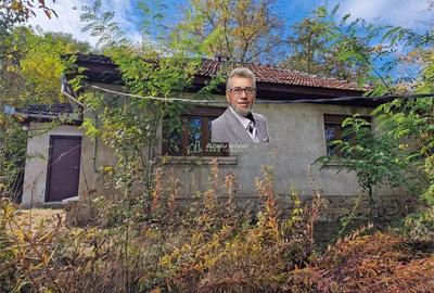 Casă cu Teren 4770 Mp în Central