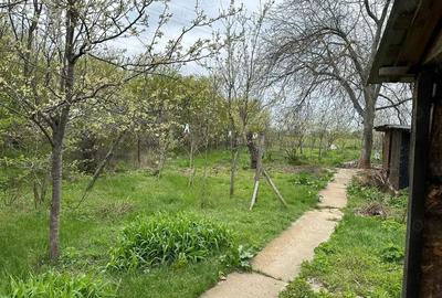 Casă cu 5 camere în Dumbrăveni - 5