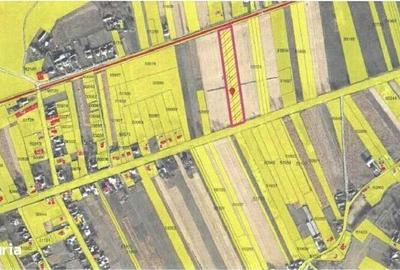 Teren de 10000 mp, în Timișești - 2