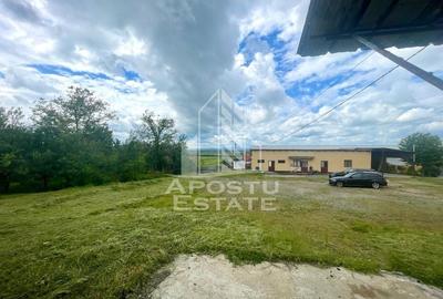 Spatii productie si depozitare, zona Sebis - Prunisor-Carand - 9