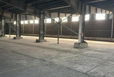 Zona Industriala, hala 2.200 mp. - 1