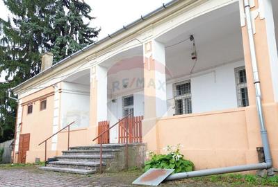 Casa istorica in zona centrala Ludus- Mures - 4
