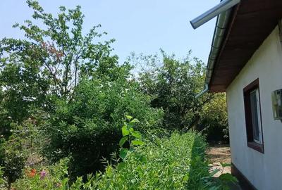 Casă cu 4 camere cu Teren 1500 Mp în Bora - 8