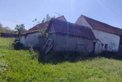 Casă cu 4 camere în Alioș - 2