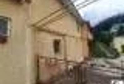 Casă cu 3 camere în Poiana Țapului - 6