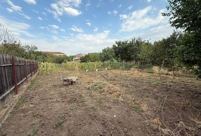 Casa cu trei camere avand 90mp suprafata utila, 1.200 mp teren, in zona Mehala - 2