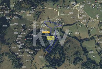 Teren de vanzare in Fundata, jud. Brasov – view superb, oportunitate investitie! - 6
