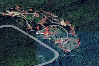 Teren de 370 mp, în Pădurea Neagră - 1