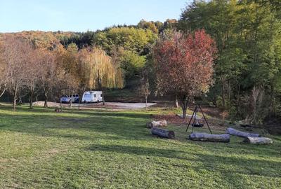 Casă cu 4 camere în Delenii - 8