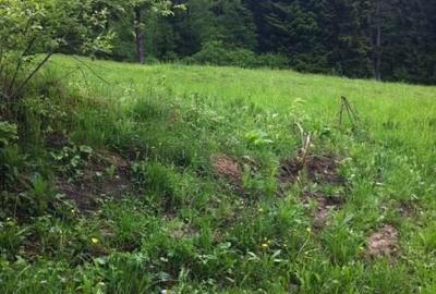 Teren intravilan Cotul Donului,pretabil Hotel/pensiune. - 13