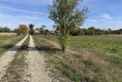 Teren intravilan 3700 mp  - zona linistita - 4