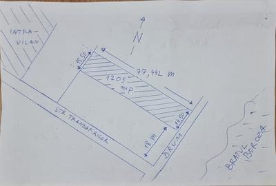 Vand 1 205 mp teren pe malul Br Borcea ( Dunarea ) la Satnoeni / CL - 1