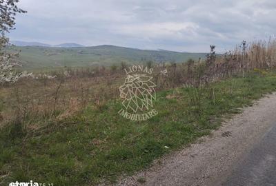 Teren de 2100 mp, în Șieu - 4