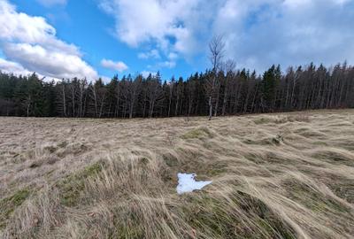 19,5 Ha  TEREN PEISAJ PANORAMIC SPECTACULOS zona turistica montana BULZ -  BIHOR - 50