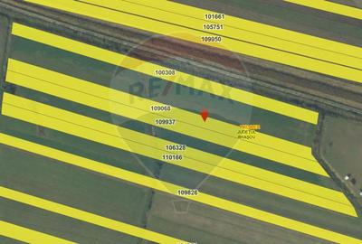 Teren agricol extravilan de 4000 mp, în Stupinii Prejmerului - 3