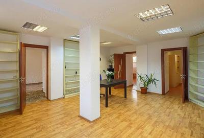 Spatiu de birou, demisol, vila, Parcul Carol Unirii, cu gradina Spatiu de birou, demisol, vila, Parcul Carol Unirii, cu gradina - 3