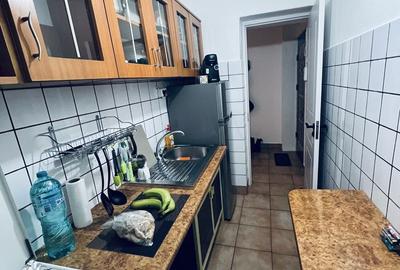 Apartament cu 2 camere semidecomandat în Banat - 3