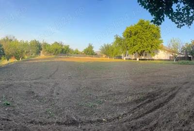 Casă cu 4 camere în Valea Roșie - 4