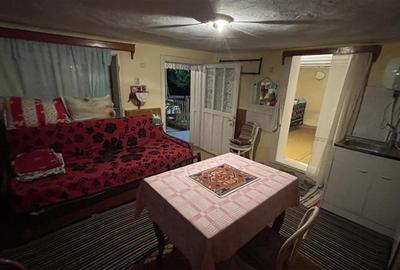 Casă individuală cu 3 camere cu Teren 2500 Mp în Ulieș - 37