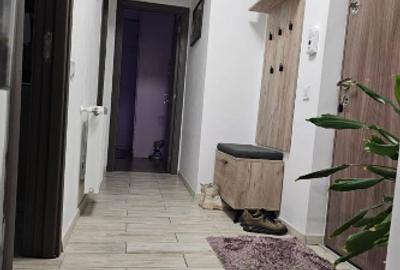 Apartament cu 2 camere decomandat în Șelimbăr - 5