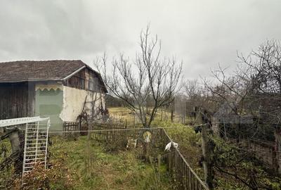 Teren 3000 mp + 2 case de vanzare-Ca?eiu - 6