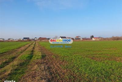 Spațiu comercial, în Dărmănești - 5