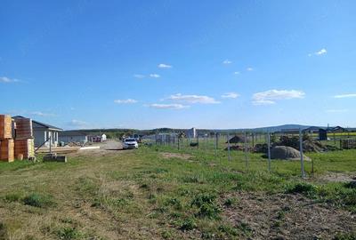Teren de 821 mp, în Alparea - 6