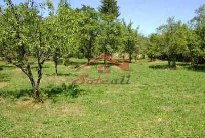 Teren de 1919 mp, în Cornu - 3